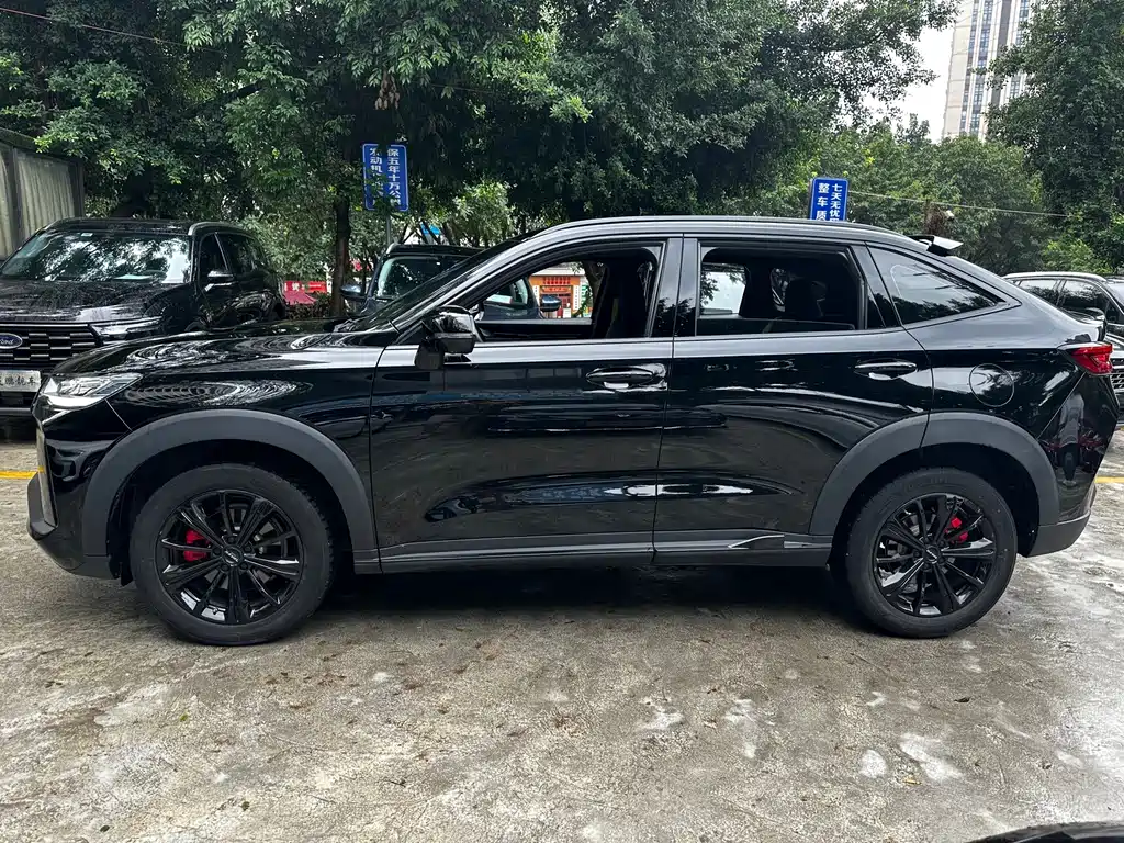 Haval H6S — фото 4