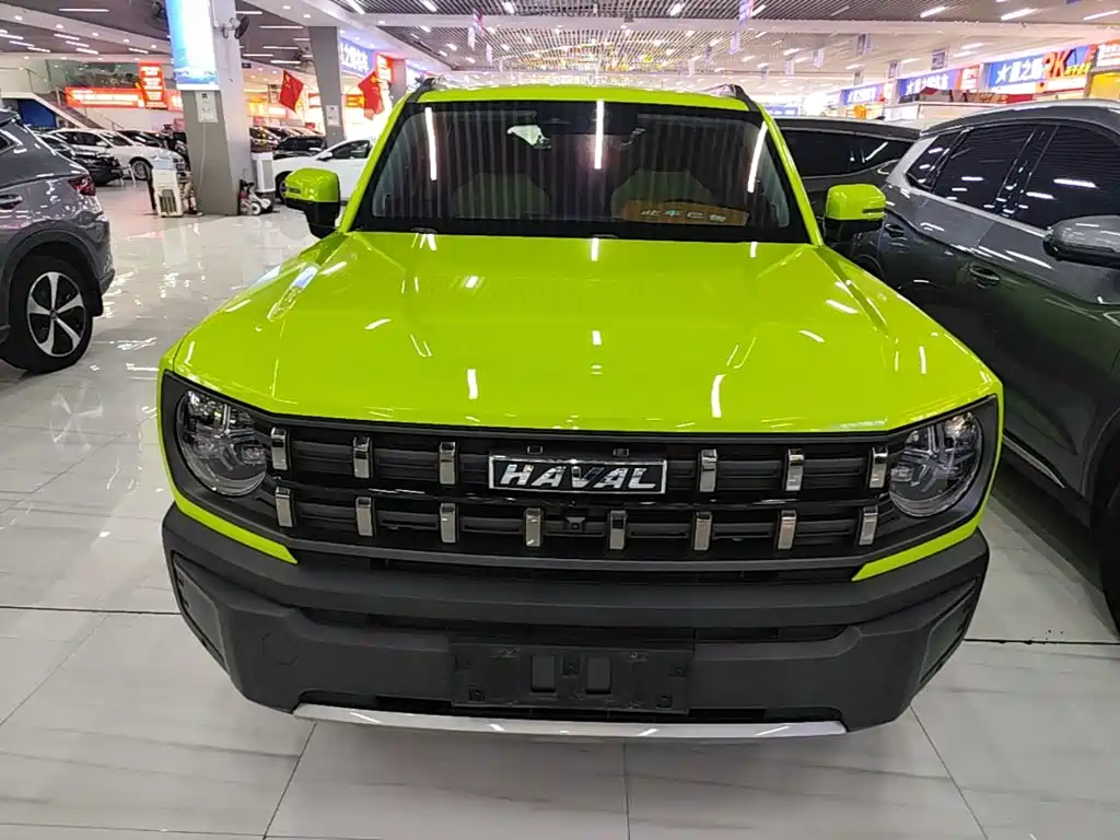 Haval Cool Dog — фото 3