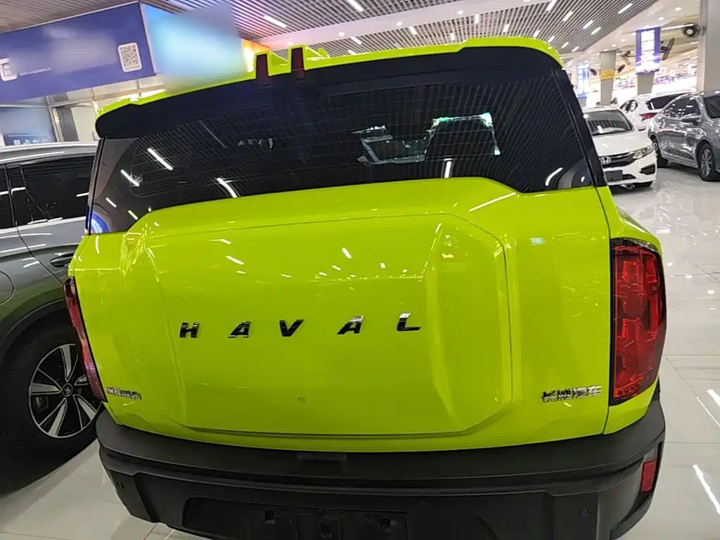 Haval Cool Dog — фото 6