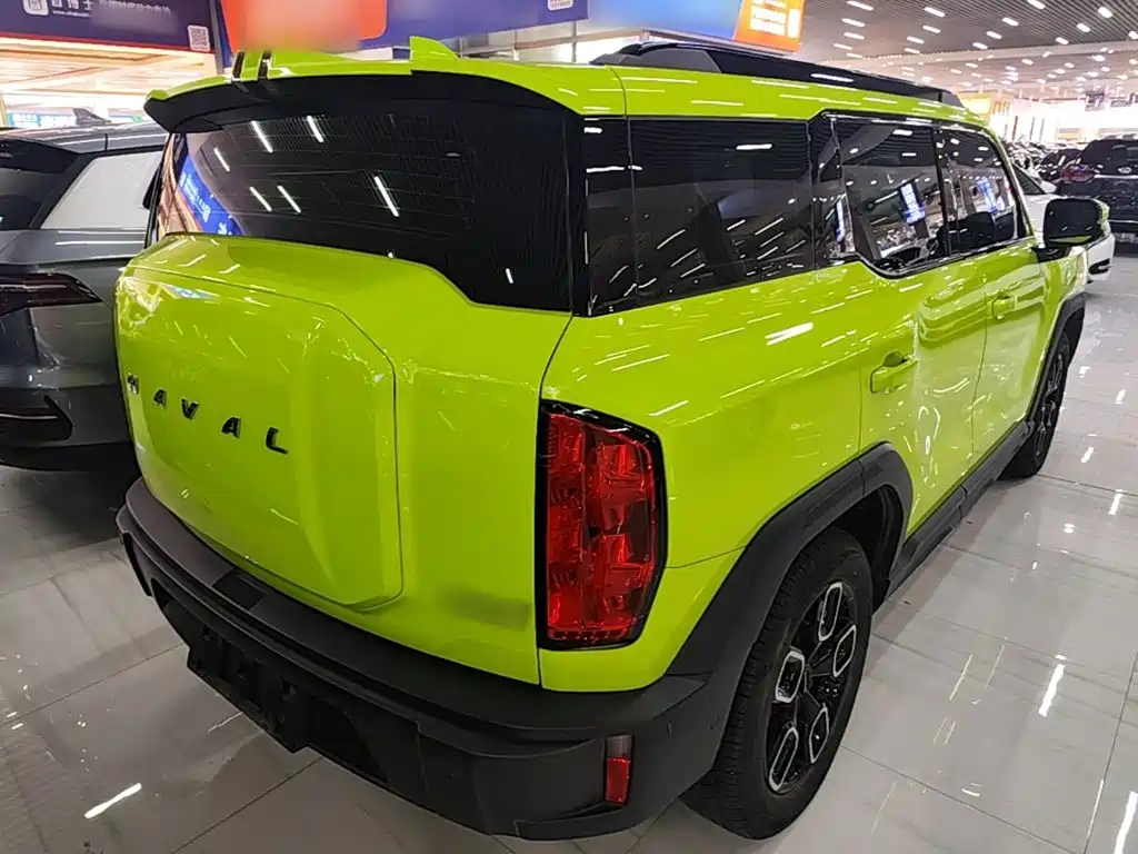 Haval Cool Dog — фото 7