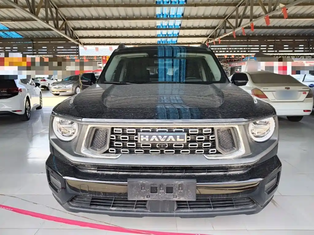 Haval Big Dog PLUS — фото 3