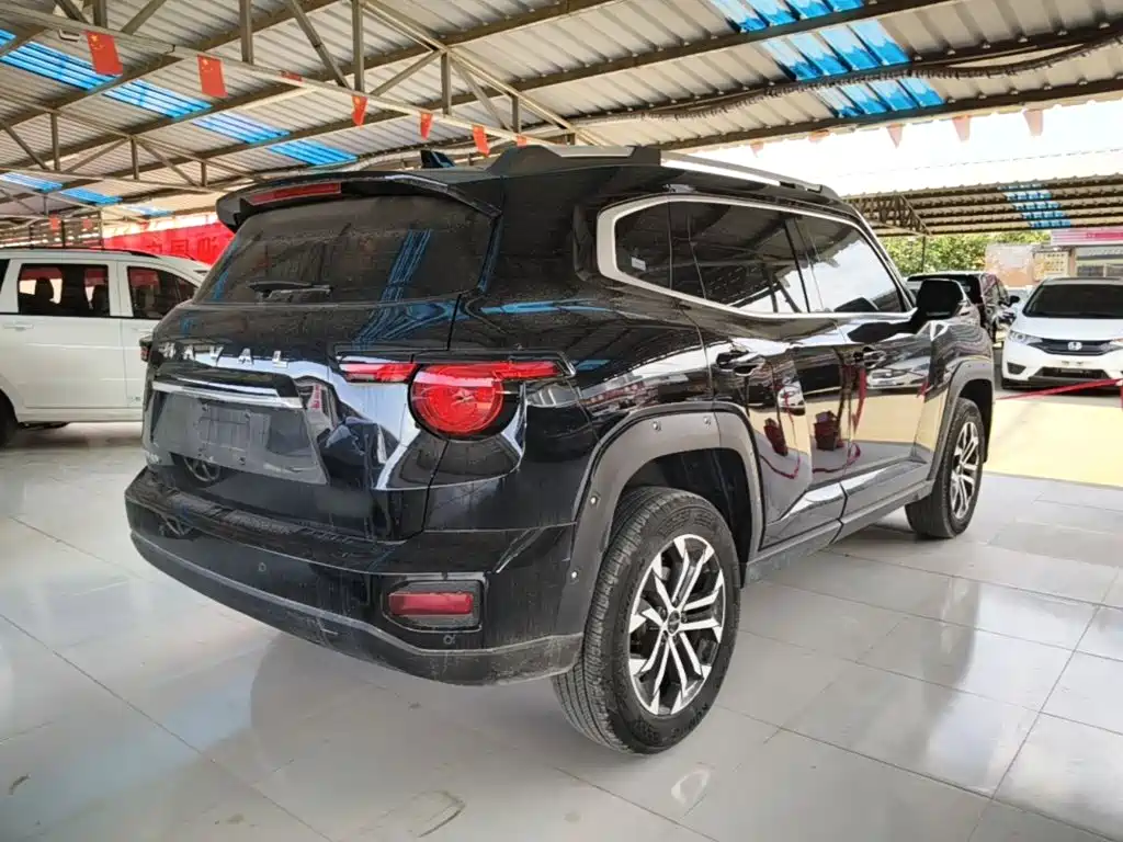Haval Big Dog PLUS — фото 7