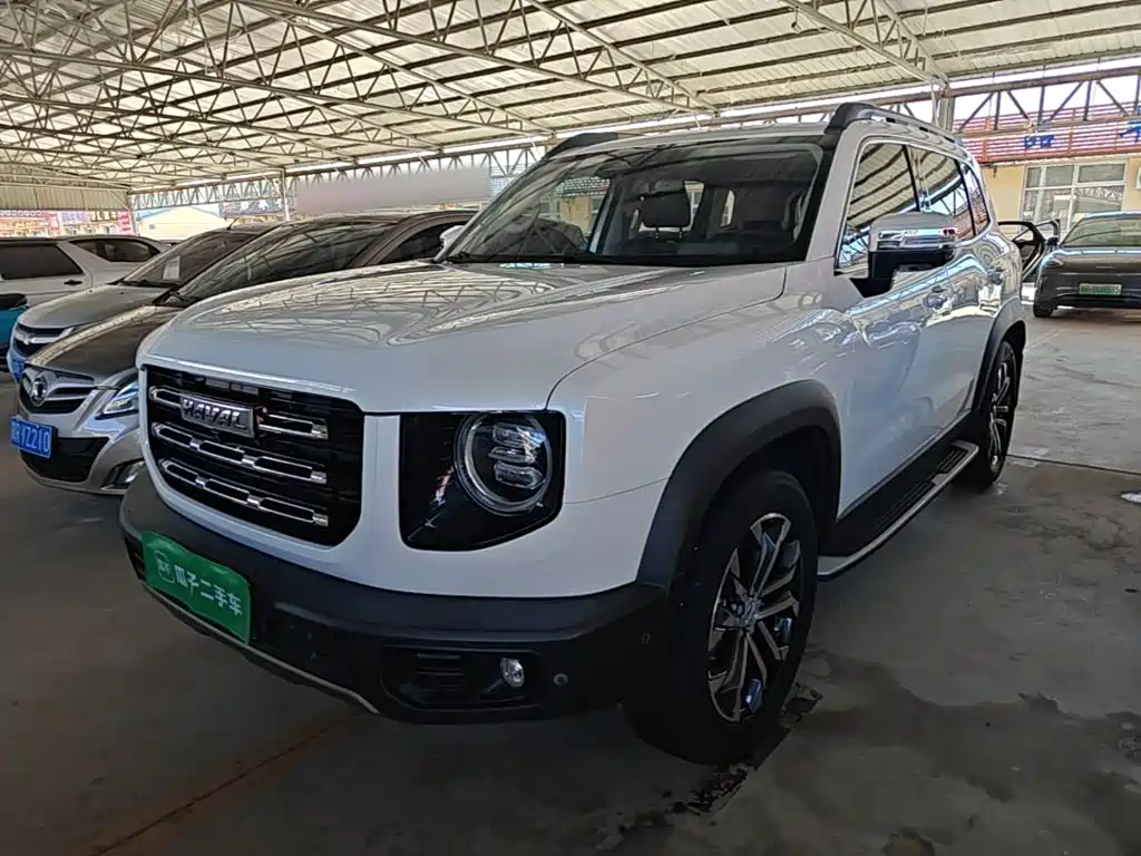Haval Big Dog