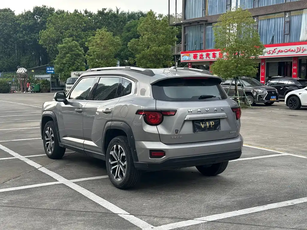 Haval Big Dog PLUS — фото 29