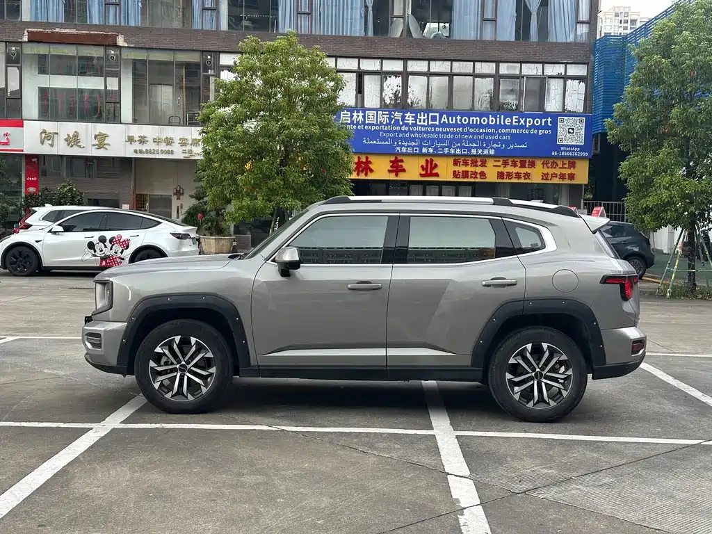 Haval Big Dog PLUS — фото 7