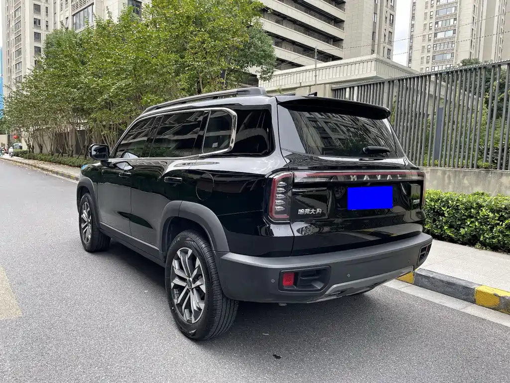 Haval Big Dog — фото 7