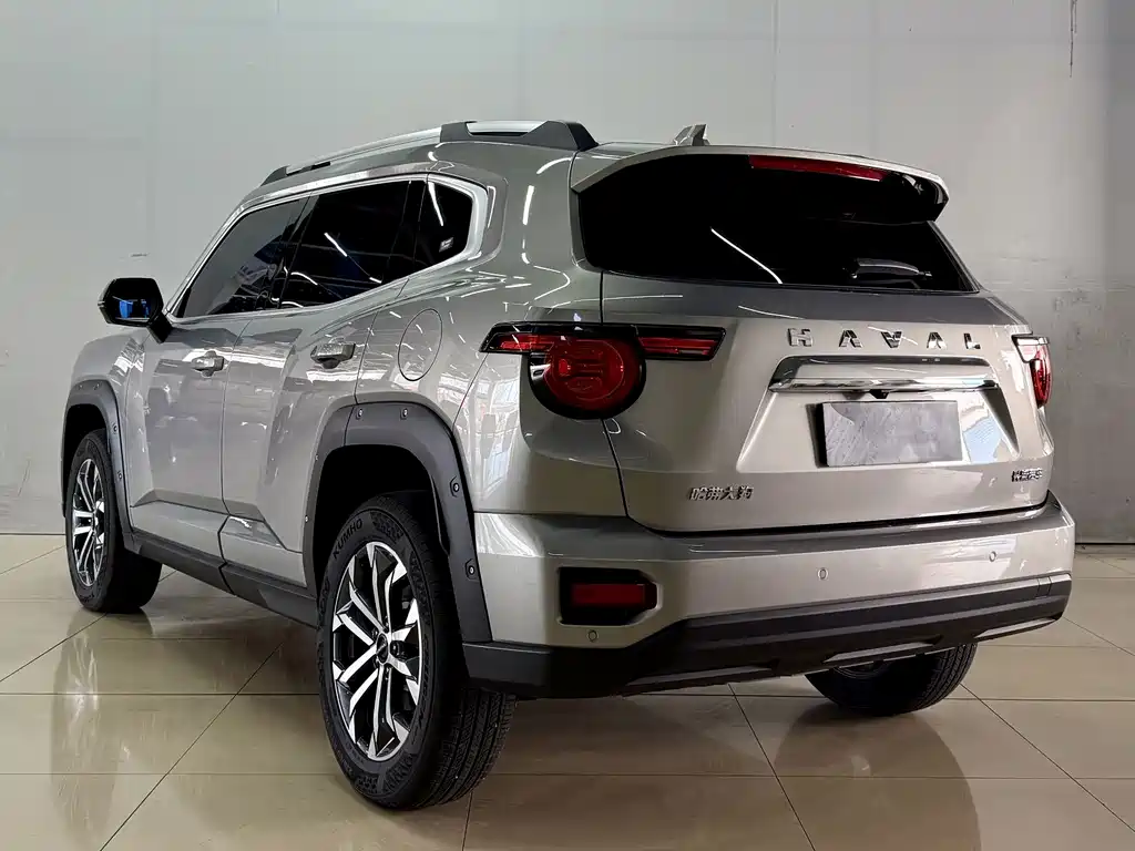 Haval Big Dog PLUS — фото 6