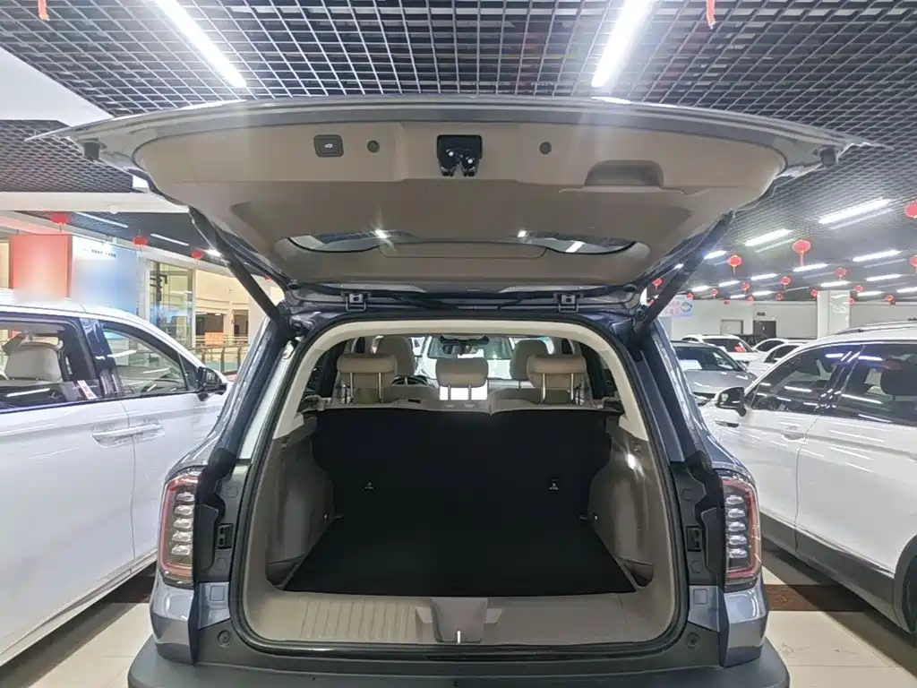 Haval Big Dog — фото 19
