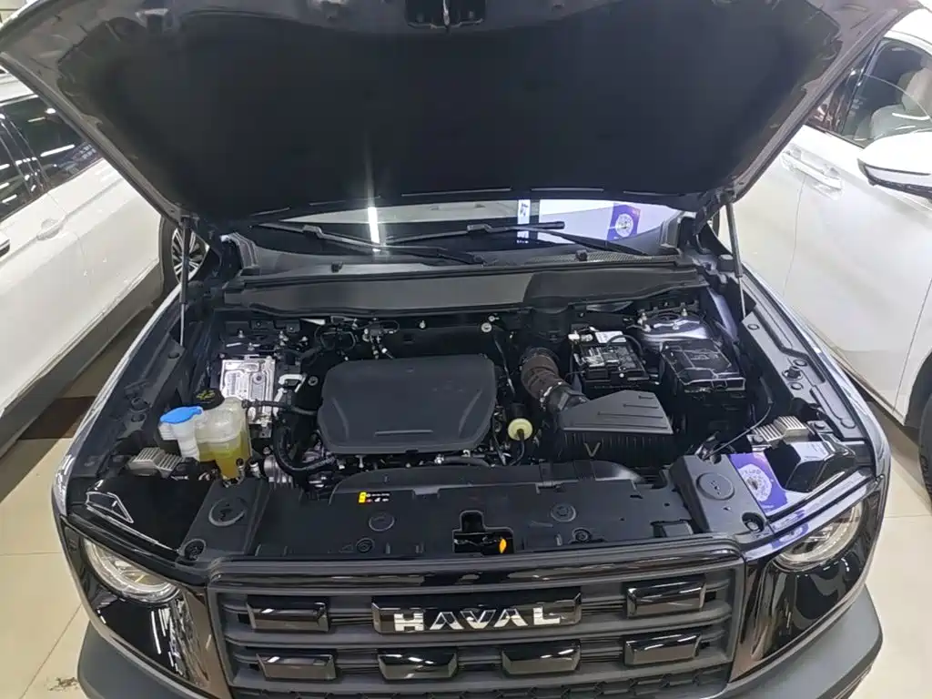 Haval Big Dog — фото 20