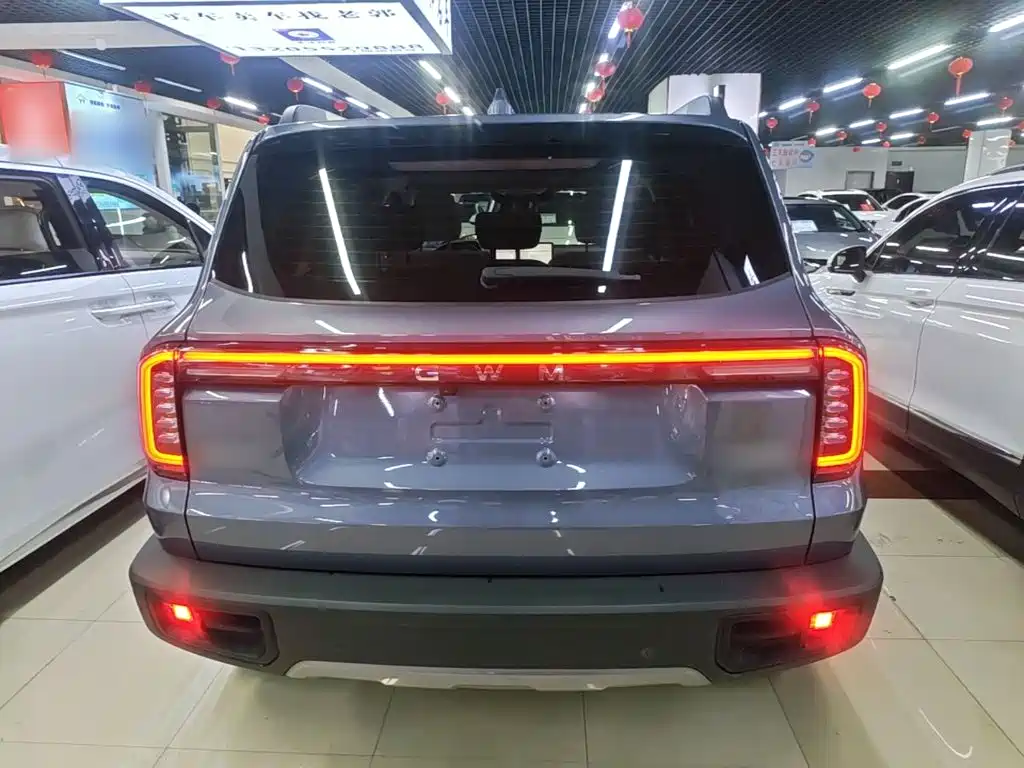 Haval Big Dog — фото 6