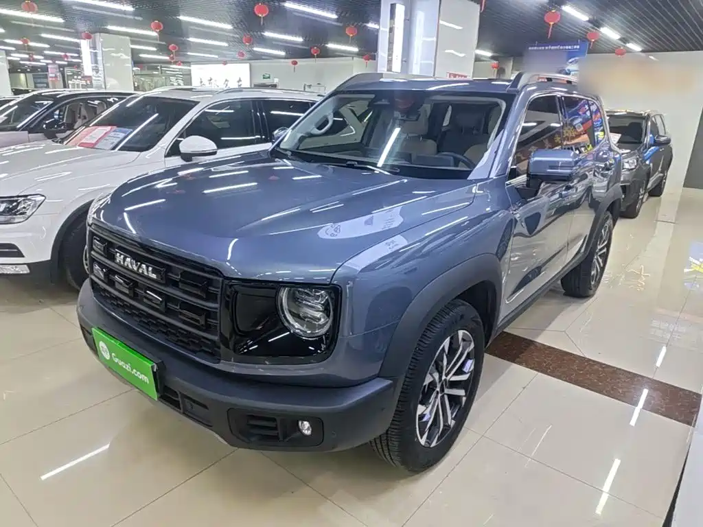 Haval Big Dog