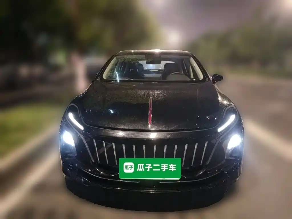 Hongqi Hongqi E-QM5 — фото 2