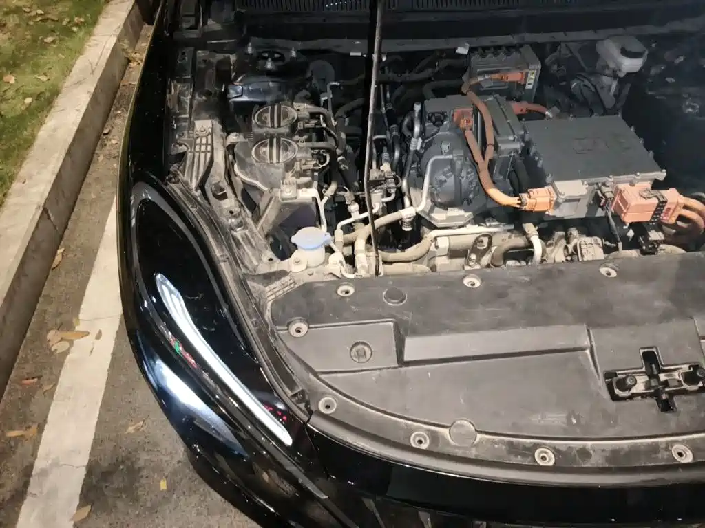 Hongqi Hongqi E-QM5 — фото 20