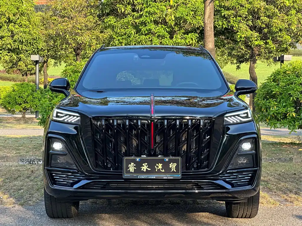 Hongqi Hongqi HS5 — фото 2