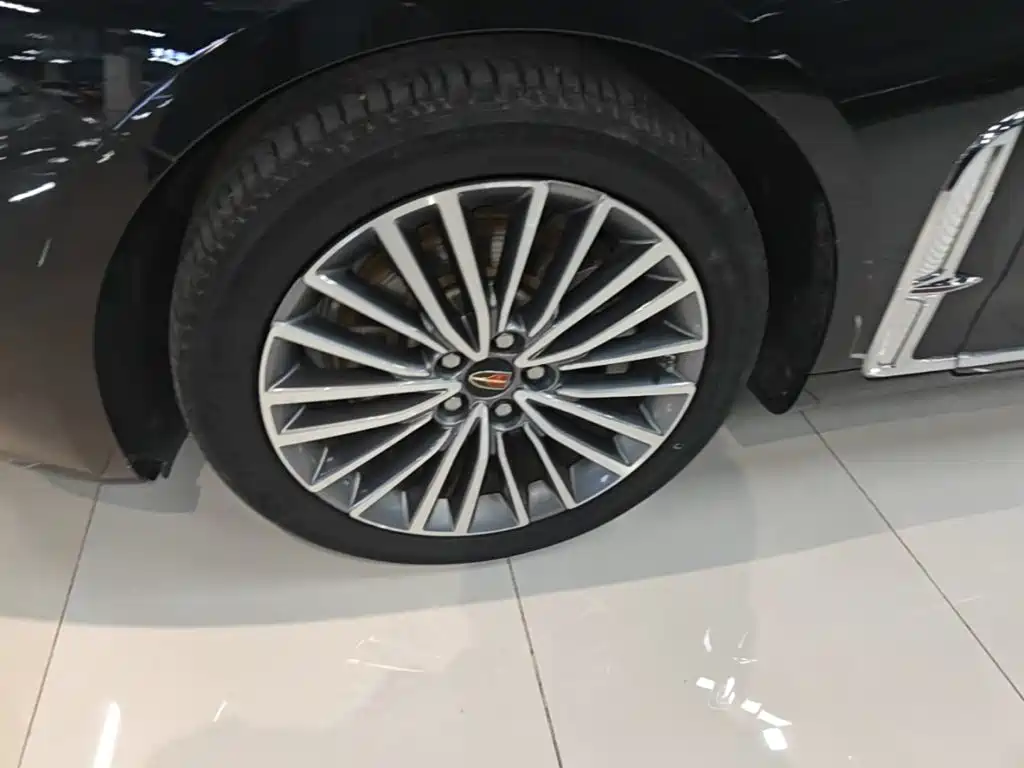 Hongqi Hongqi H9 — фото 23