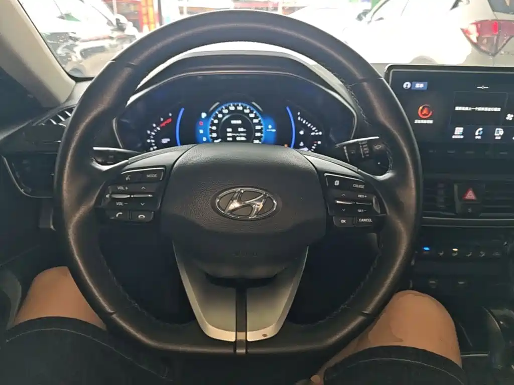 Hyundai Fista — фото 11