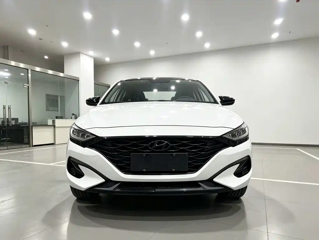 Hyundai Fista — фото 2