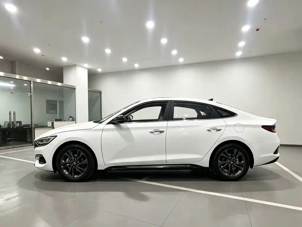 Hyundai Fista — фото 3