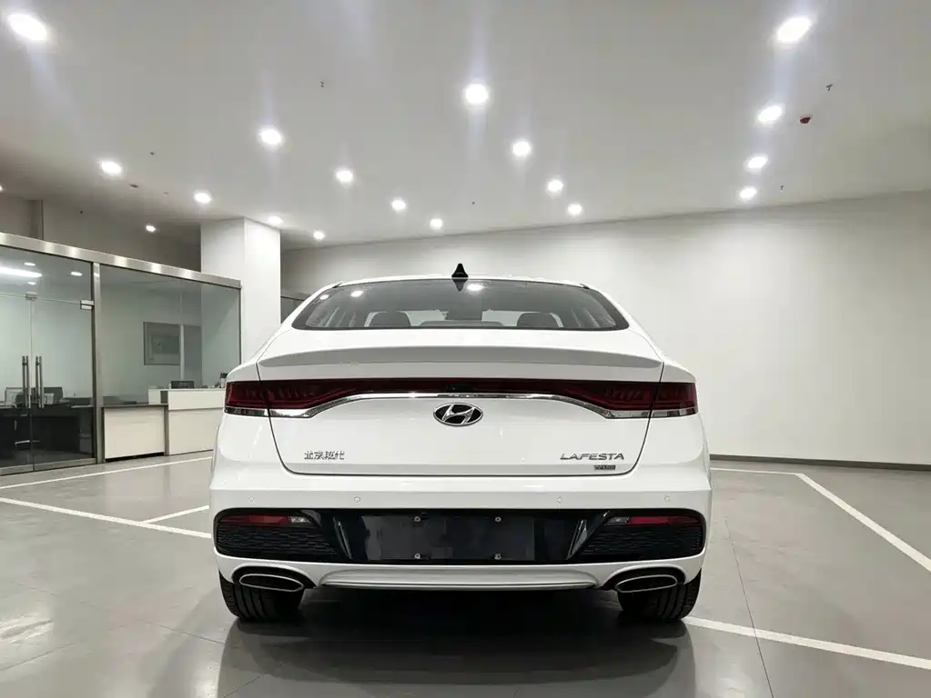 Hyundai Fista — фото 8