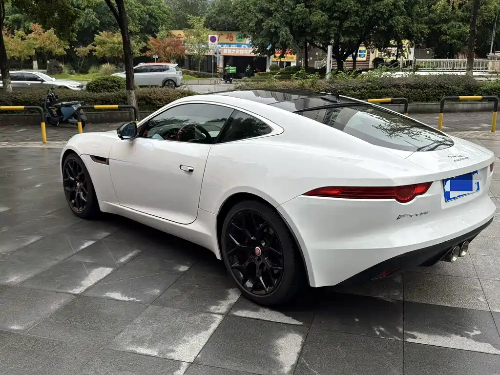 Jaguar F-TYPE — фото 8