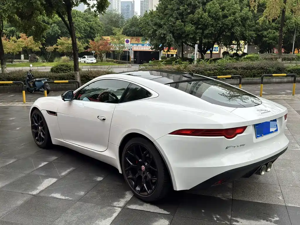 Jaguar F-TYPE — фото 9