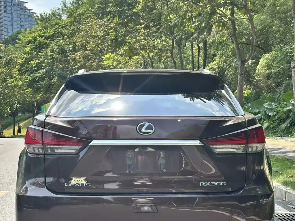Lexus RX — фото 6