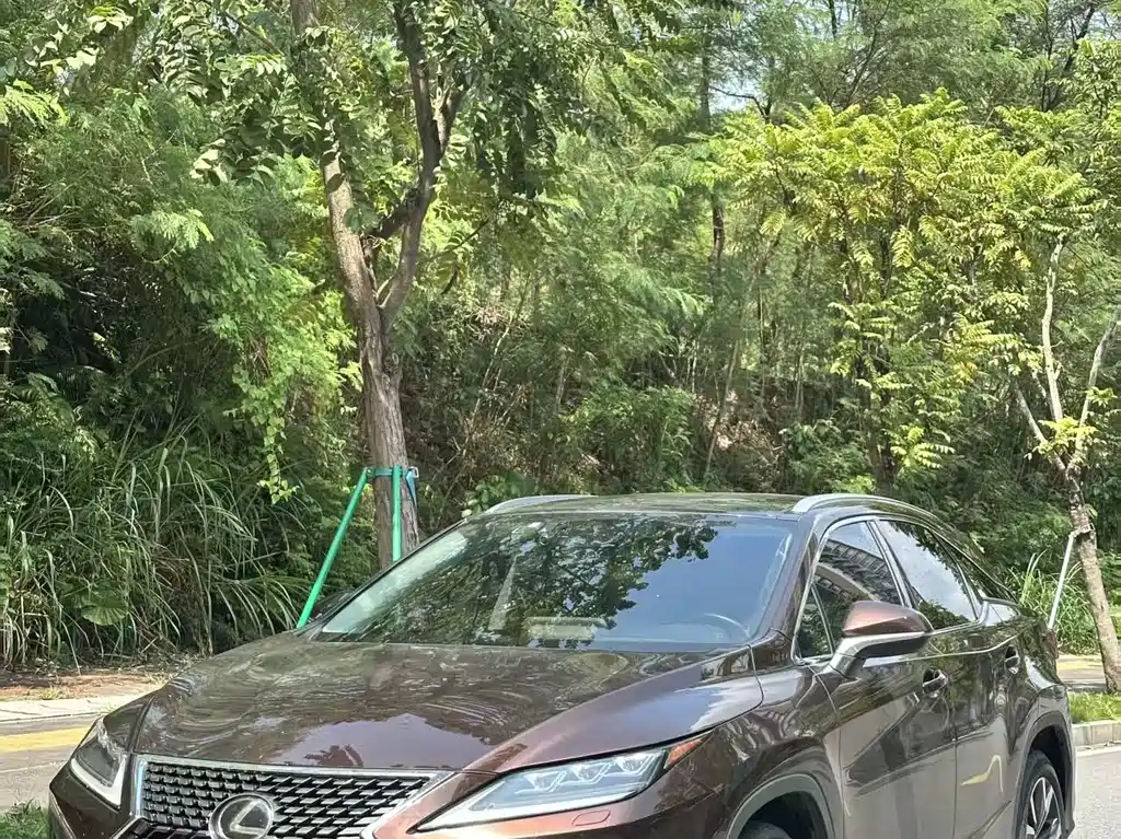 Lexus RX — фото 9