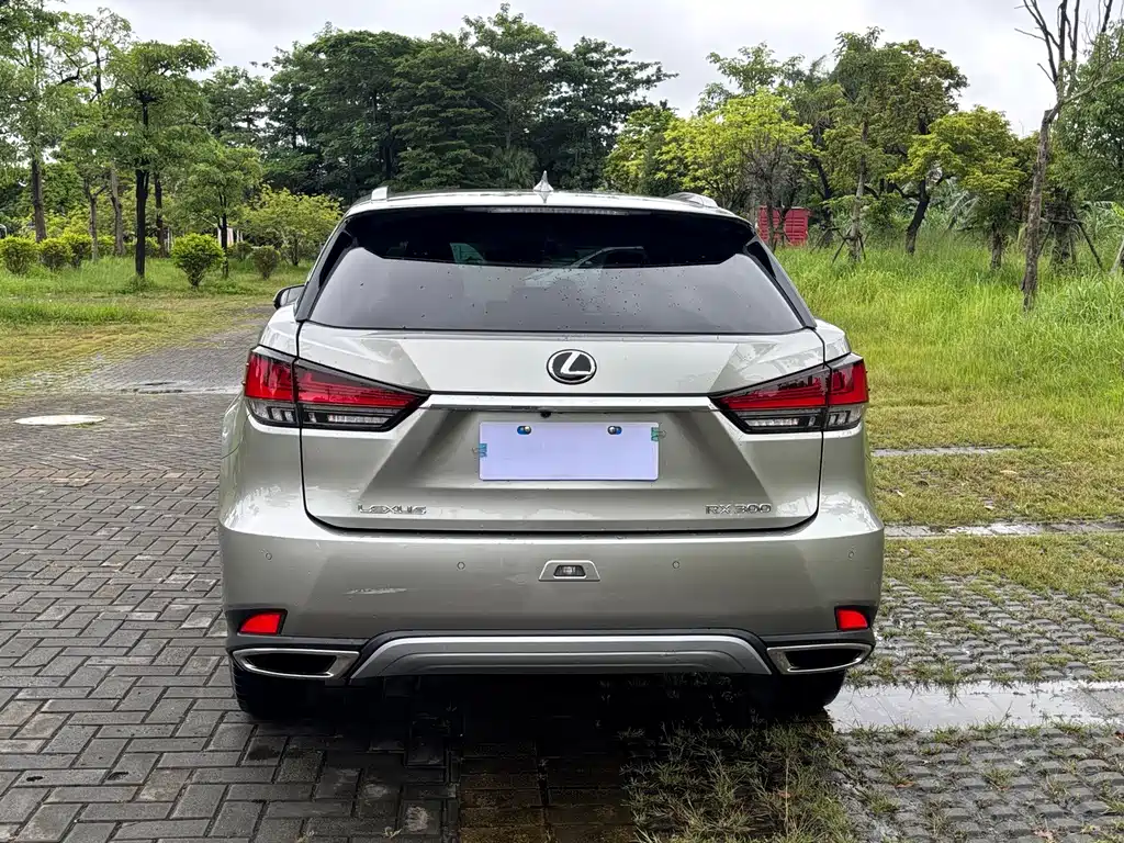 Lexus RX — фото 5