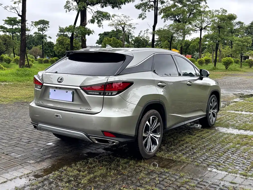 Lexus RX — фото 6