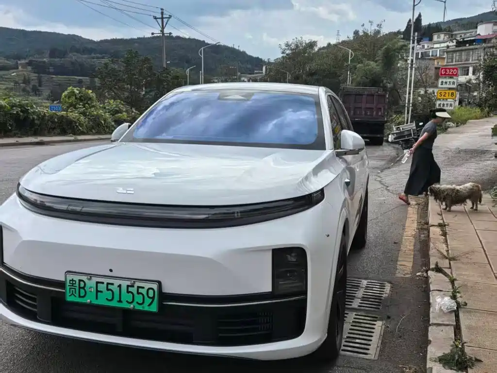 Li Auto Li L7