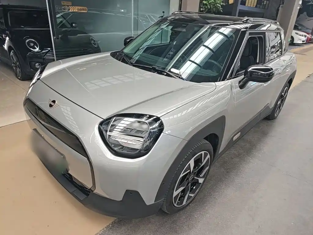 MINI MINI ACEMAN EV