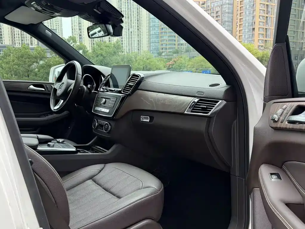 Mercedes-Benz GLE (Import) — фото 6