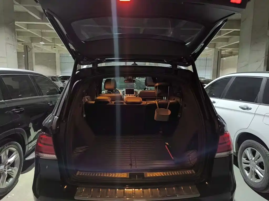 Mercedes-Benz GLE (Import) — фото 21