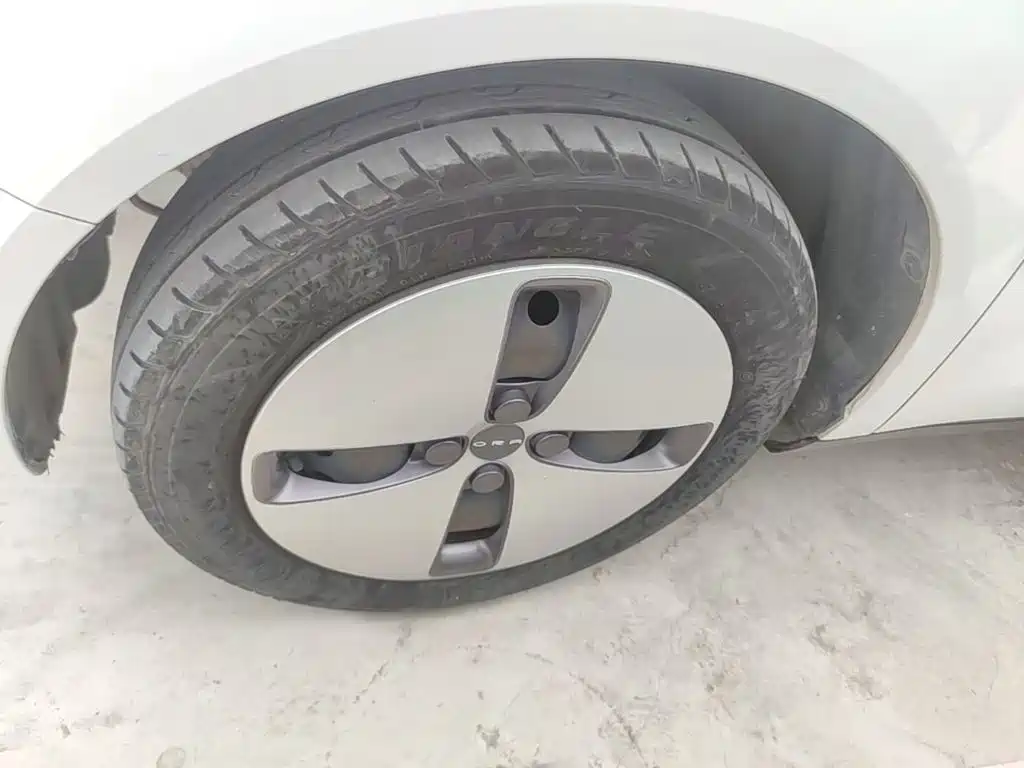 Ora Ora Black Cat — фото 23
