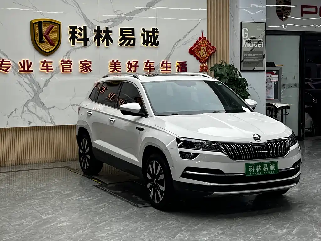 Skoda Karoq — фото 3