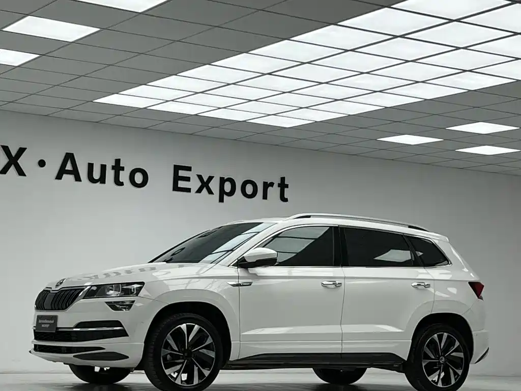 Skoda Karoq — фото 4