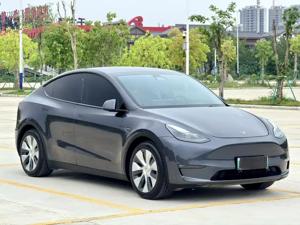 Tesla Model Y — фото 2