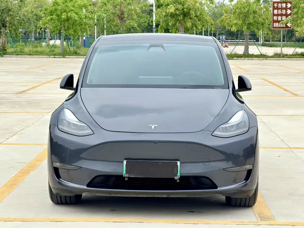 Tesla Model Y — фото 3