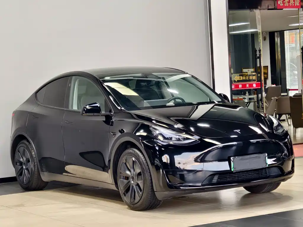 Tesla Model Y — фото 3