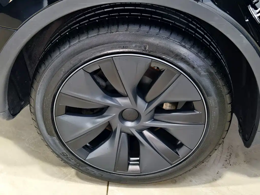 Tesla Model Y — фото 29