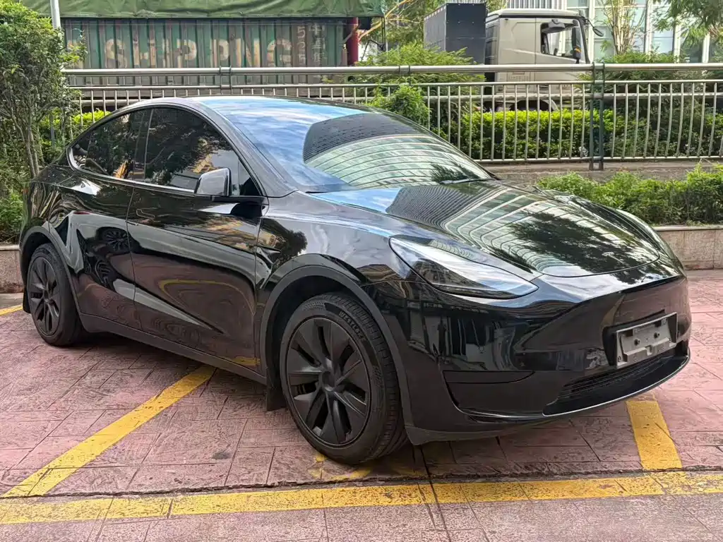 Tesla Model Y — фото 3