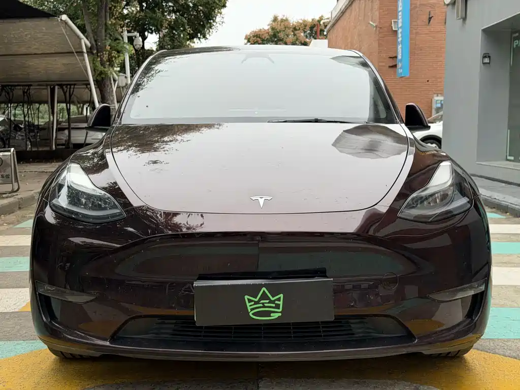 Tesla Model Y — фото 2