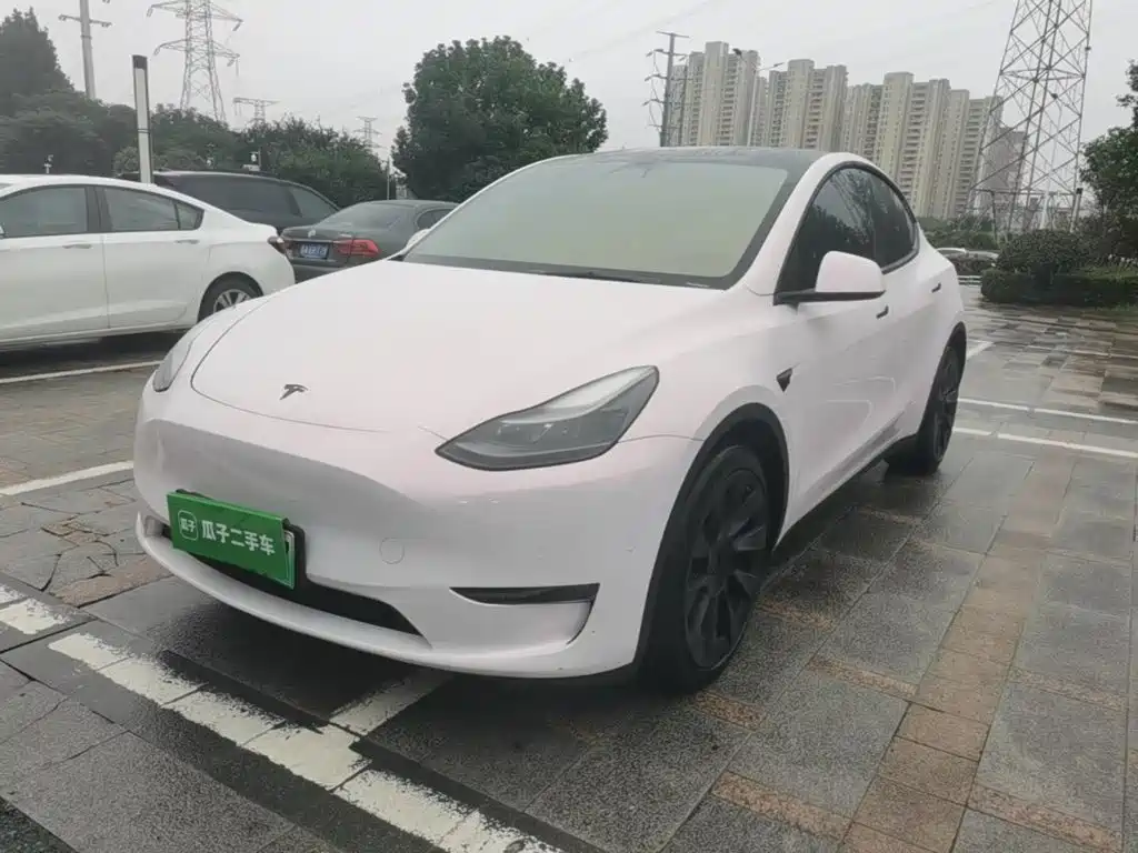 Tesla Model Y — фото 2