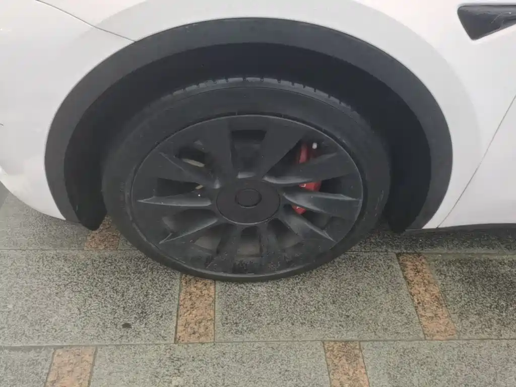 Tesla Model Y — фото 23