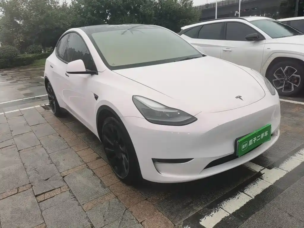 Tesla Model Y — фото 4