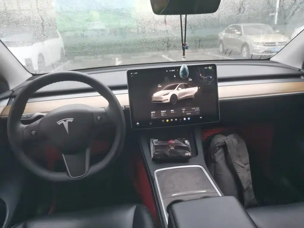 Tesla Model Y — фото 10