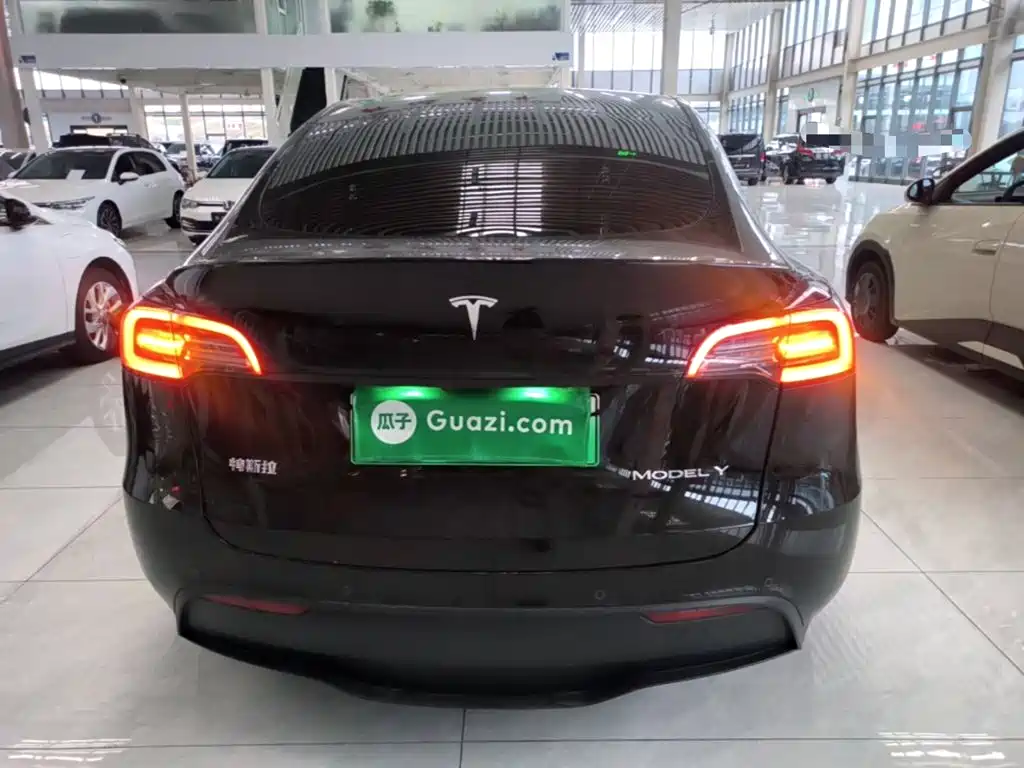 Tesla Model Y — фото 6