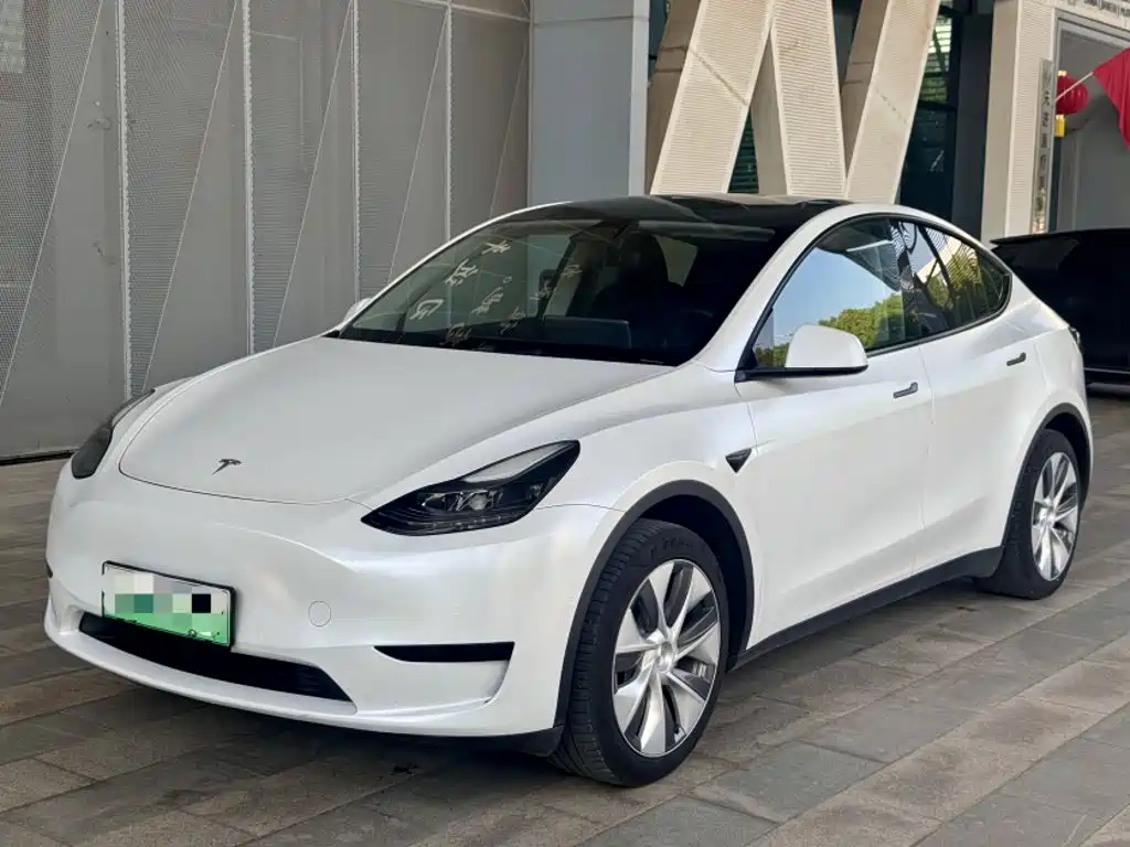Tesla Model Y — фото 2