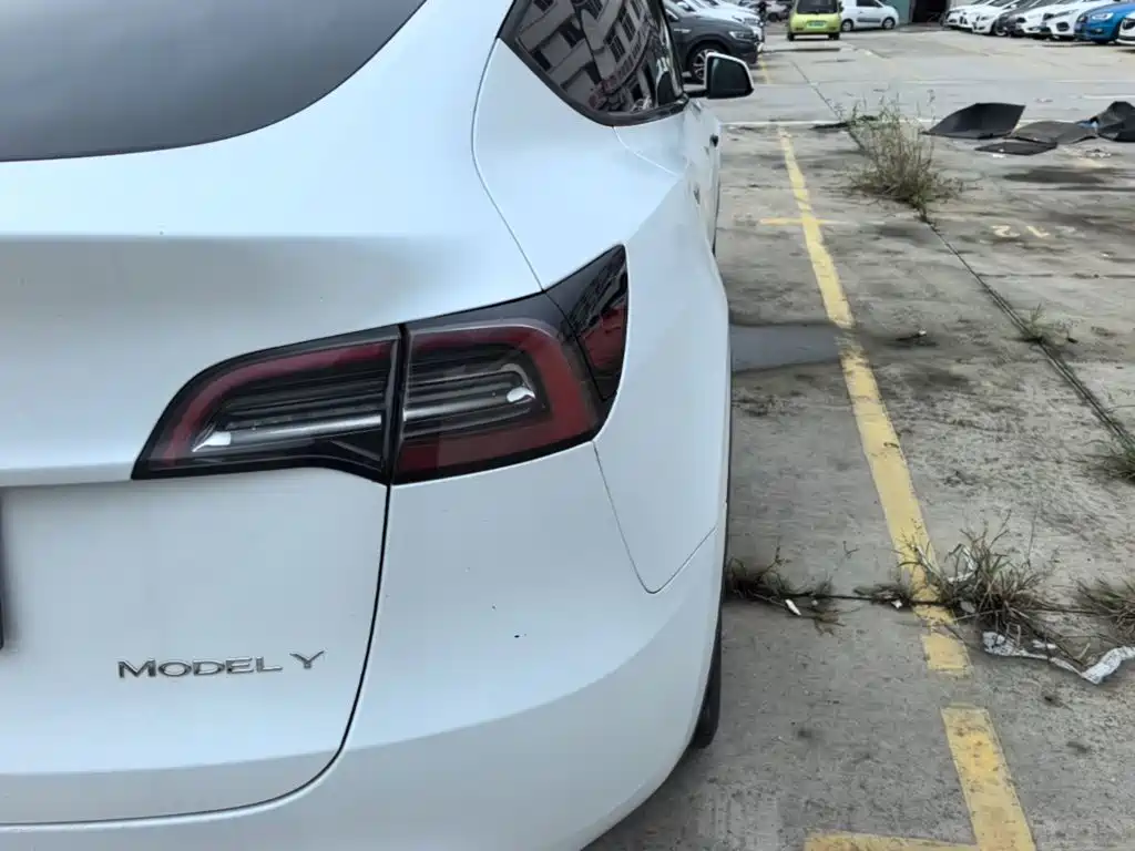 Tesla Model Y — фото 19