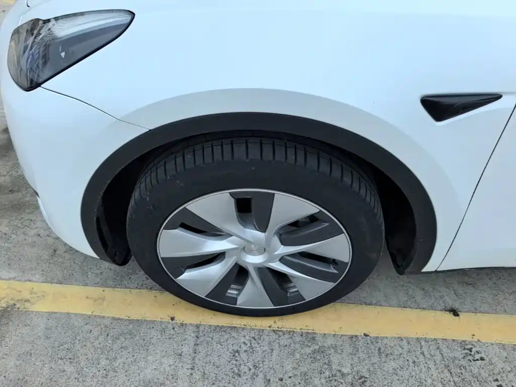 Tesla Model Y — фото 20